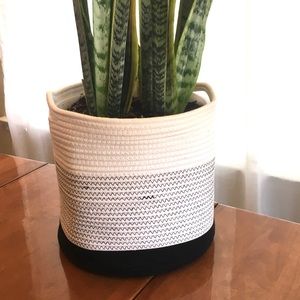 Plant Basket/ Blanket Holder